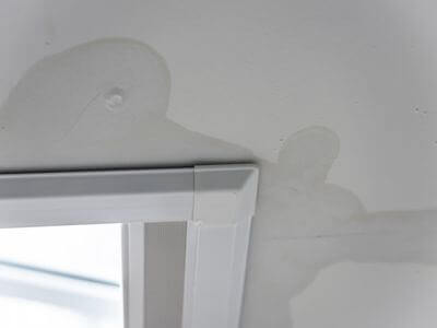 About Pompano Beach Mold Remediation Pros - basement mold remediation experts in Pompano Beach